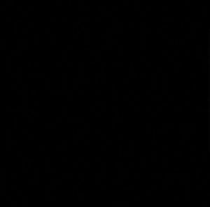 Meet your Posher, Guess